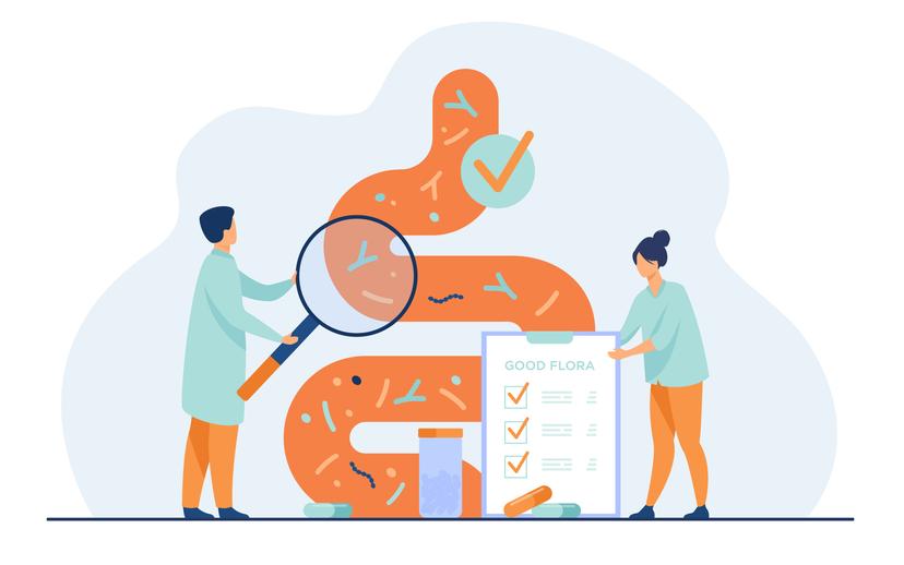Die Illustration zeigt schematisch den Magen-Darm-Trakt und einen Gastroenterologen der illustrativ mit einer Lupe eine Diagnose durchführt um Polypen zu entdecken.