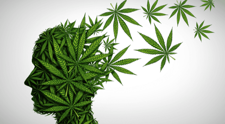 Cannabis-Legalisierung: Chancen, Risiken und Konsequenzen