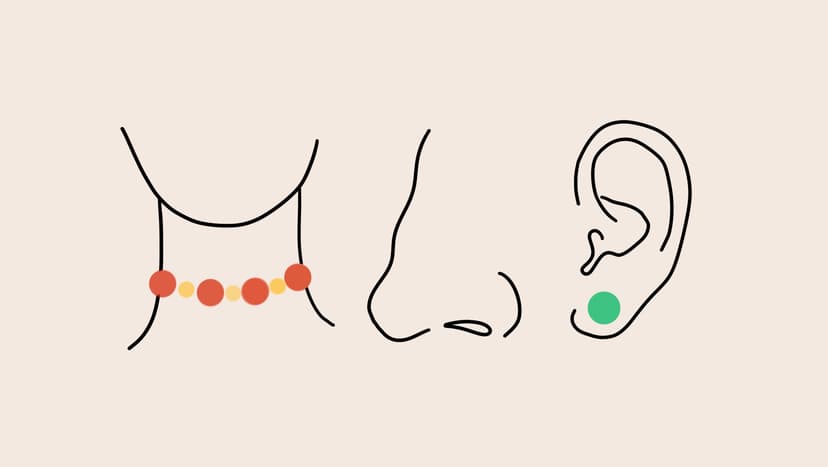 Die Einkommen in Kliniken und Krankenhäusern sind durch Tarifverträge festgelegt, während das Einkommen in eigener Praxis vom Engagement und der Reputation der Praxis abhängt Die Illustration zeigt Hals, Nase und ein Ohr und symbolisiert den Bereich Hals-Nasen-Ohrenheilkunde.