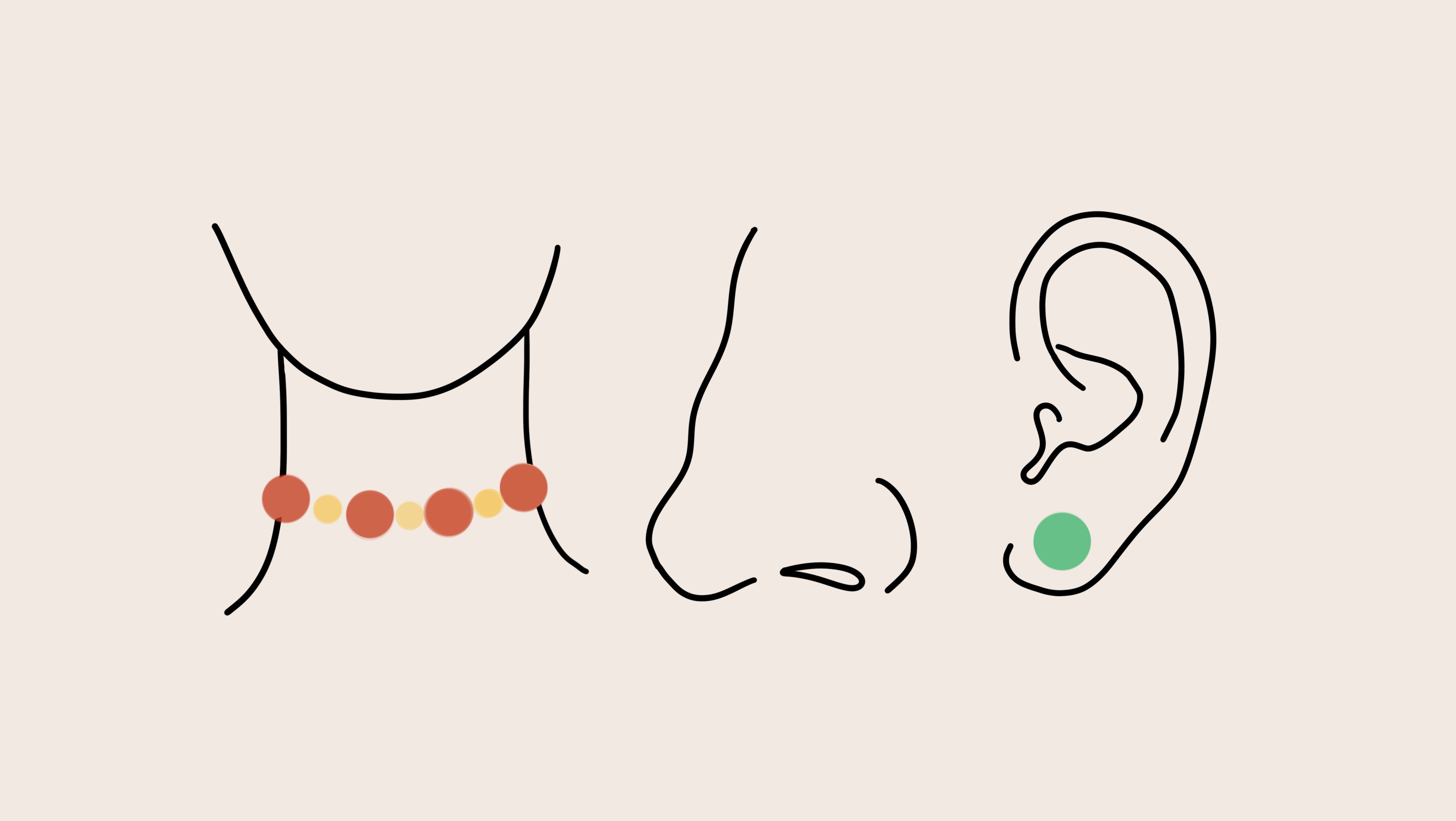 Die Illustration zeigt Hals, Nase und ein Ohr und symbolisiert den Bereich Hals-Nasen-Ohrenheilkunde.